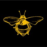 Bee Tutored Llc - Private Tutors in New York