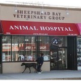 Sheepshead Bay Veterinary Grp - Veterinarians/Vets in New York