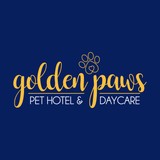 Golden Paws Pet Care Services - Pet Services in Derby