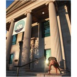 Shakti Yoga - Yoga in Buffalo