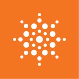 Banis Marketing - Marketing in Albany