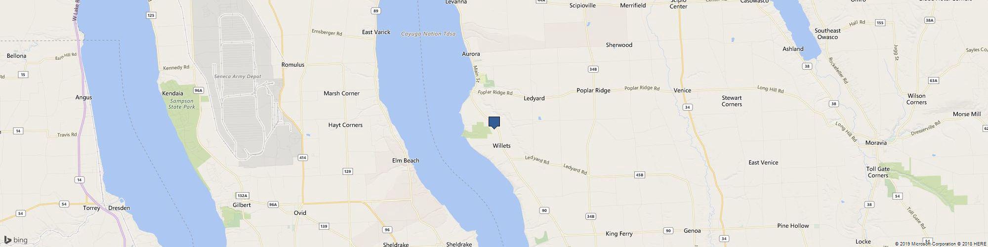 Pumpkin Hill cover photo