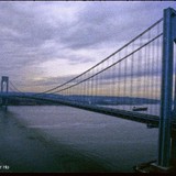 Harte Sarah - Social Workers in New York