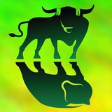 Bulls To Bears - Financial Services in New York