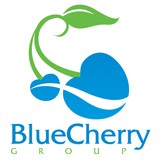 Blue Cherry Group LLC - Marketing in New York