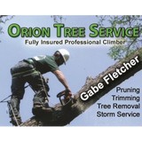 Orion Tree Service - Other in Windsor
