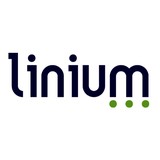 Linium - Business Consulting in Albany
