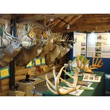 New York State Big Buck Club - Other in Caledonia