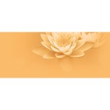 Hands For Bodywork - Massage Therapy in New York