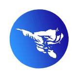 Hong's Karate School - Martial Arts in Poughkeepsie
