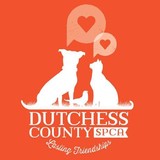 Dutchess County Society For The Prevention Of Cruelty To Animals Inc - Other in Hyde Park