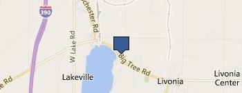 6001 Big Tree Road Inc location map