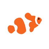 Ready Set Reef - Other in Fishkill