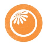 Orange You Glad Design - Graphic Design in New York