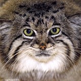 Prospect Park Zoo - Botanical Gardens in New York