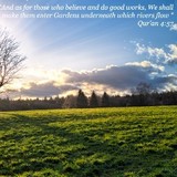 Paradise Gardens Funeral Services, Inc - Funeral Services & Cemeteries in New York