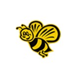 Bee Moving Inc - Movers & Removals in New York