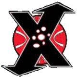 T&T Express Shipping LLC - Travel Agents in New York