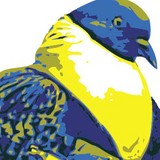 Pidgeon Roofing - Roofing in Auburn