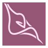 Alight Pregnancy Center Inc - Legal Services in Hudson