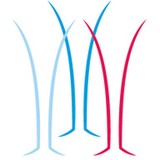 Broadway Party Rentals - Party Supplies in New York