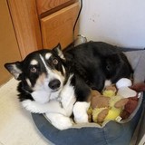 Smith Lumber Hardware - Other in Lakeville