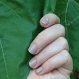 Windham Spa - Other in Windham