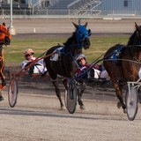 Photos By Roth - Other in Batavia