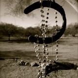Wild Things - Jewelry in Buffalo