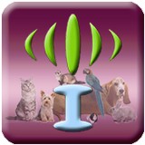 Celltei - Pet Stores in New York