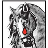 Equine Advocates - Other in Chatham