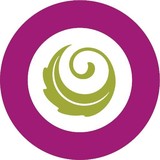 Wynne Creative Group - Business Consulting in Buffalo