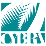 Cybra Corp - Computers in Buffalo