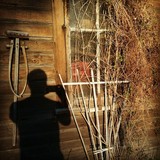 Shawn Potts Photography - Other in Homer