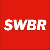 Swbr Architects & Engineers Pc - Architects in Rochester