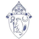 Roman Catholic Diocese Of Albany Inc - Other in Gloversville