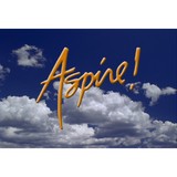 Aspire of Western New York - Other in Lakewood