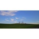 Mary Mullane Real Estate - Other in Hudson