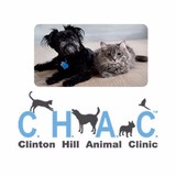 Sixth Avenue Animal Clinic - Veterinarians/Vets in New York