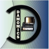 DAMOMICS INC - Other in Elmira