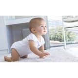 Daisy Fresh Service - Upholstery Cleaning in Buffalo