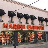 Marine Florists Inc - Florists in New York