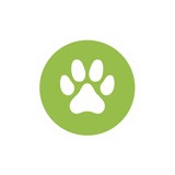 Greenpoint Veterinary Hospital - Veterinarians/Vets in New York
