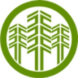 Black River Tree Removal - Tree Services in Watertown