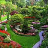 Sunny Gardens - Restaurants in New York