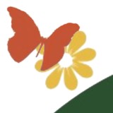 Montesorri School of Auburn - Social Services in Auburn