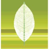 Sage Healing Arts - Yoga in New York