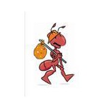 Bugs Are Gone Exterminating - Pest Control in New York