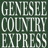 Dansville Wayland Pennysaver - Other in Dansville