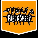 Black Sheep Web Design - Web Design & Development in Albany